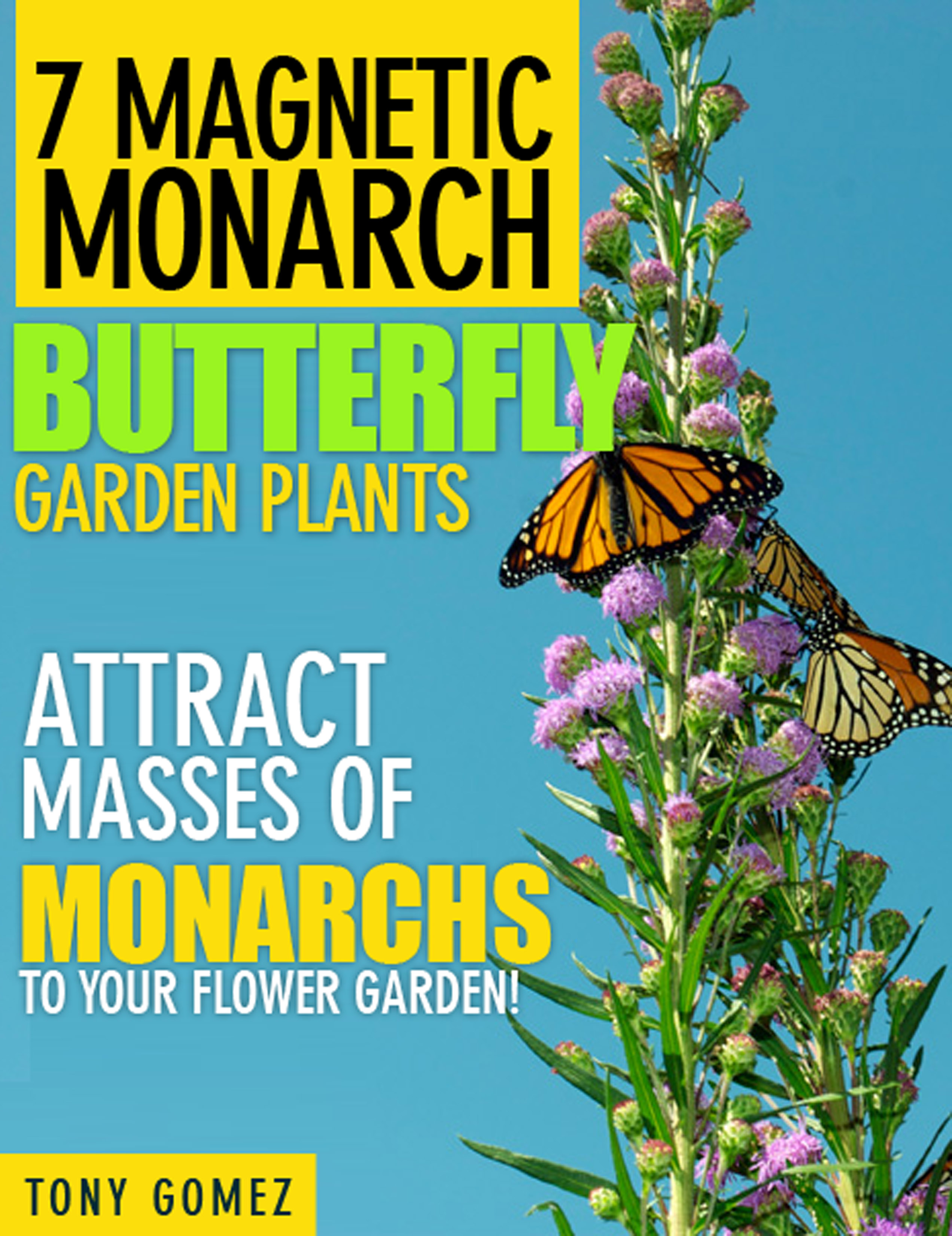 A Dangerous Decline in Butterflies Start your Monarch Butterfly